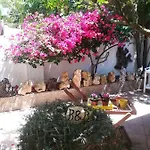Lety לינה וארוחת בוקר אלגהרו