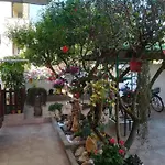 לינה וארוחת בוקר Lety אלגהרו