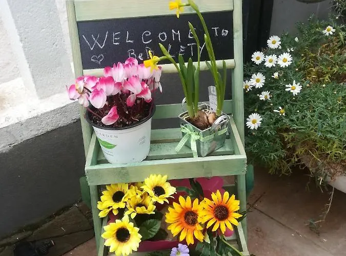 Panzió Lety Alghero