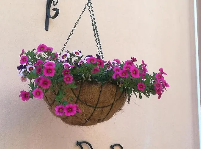 Lety Panzió Alghero