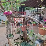 Bed & Breakfast Lety
