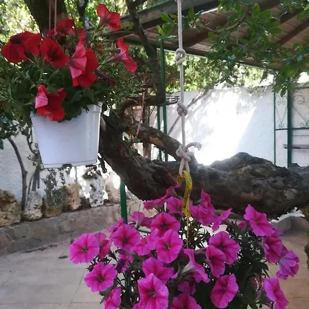 Bed & Breakfast Lety