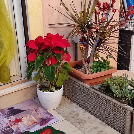 Lety Bed & Breakfast 3*