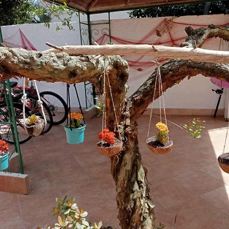 Bed & Breakfast Lety