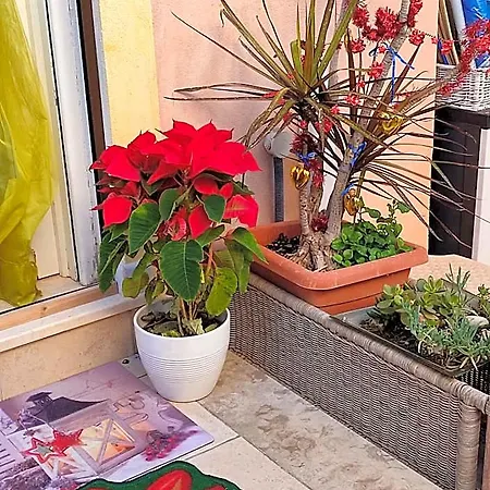 Bed & Breakfast Lety Alghero