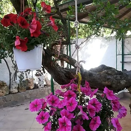 Lety Alghero