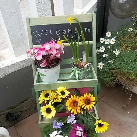 Lety Bed & Breakfast 3*