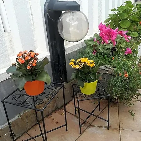 Bed & Breakfast Lety Alghero